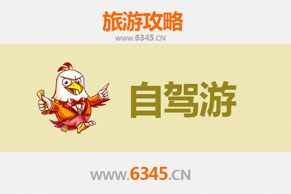 上海浦东家庭自驾游攻略：亲子乐园、自然风光与都市魅力完美融合