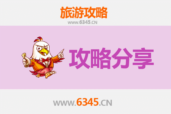 上海浦东旅游攻略：跟团与自由行全方位对比