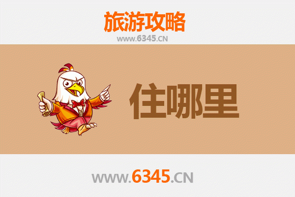 上海浦东旅游住宿全攻略：奢华酒店与经济选择完美指南