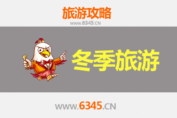 上海浦东冬季旅游全攻略：探索都市魅力与温暖体验